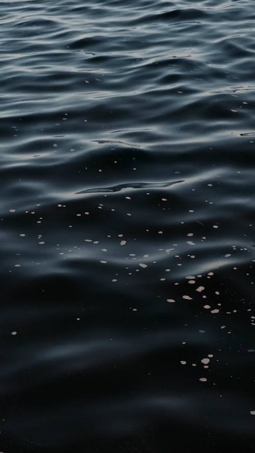 Dark Blue Wallpaper Videos, Download The BEST Free 4k Stock Video Footage & Dark Blue Wallpaper HD Video Clips Dark Blue Wallpaper Videos, Download The BEST Free 4k Stock Video Footage & Dark Blue Wallpaper HD Video Clips