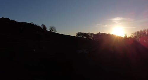 Silhouette of Trees during Sunset