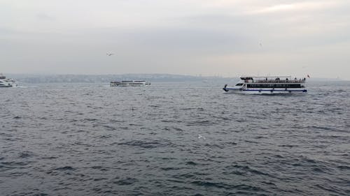 Boat Cruising in the Ocean