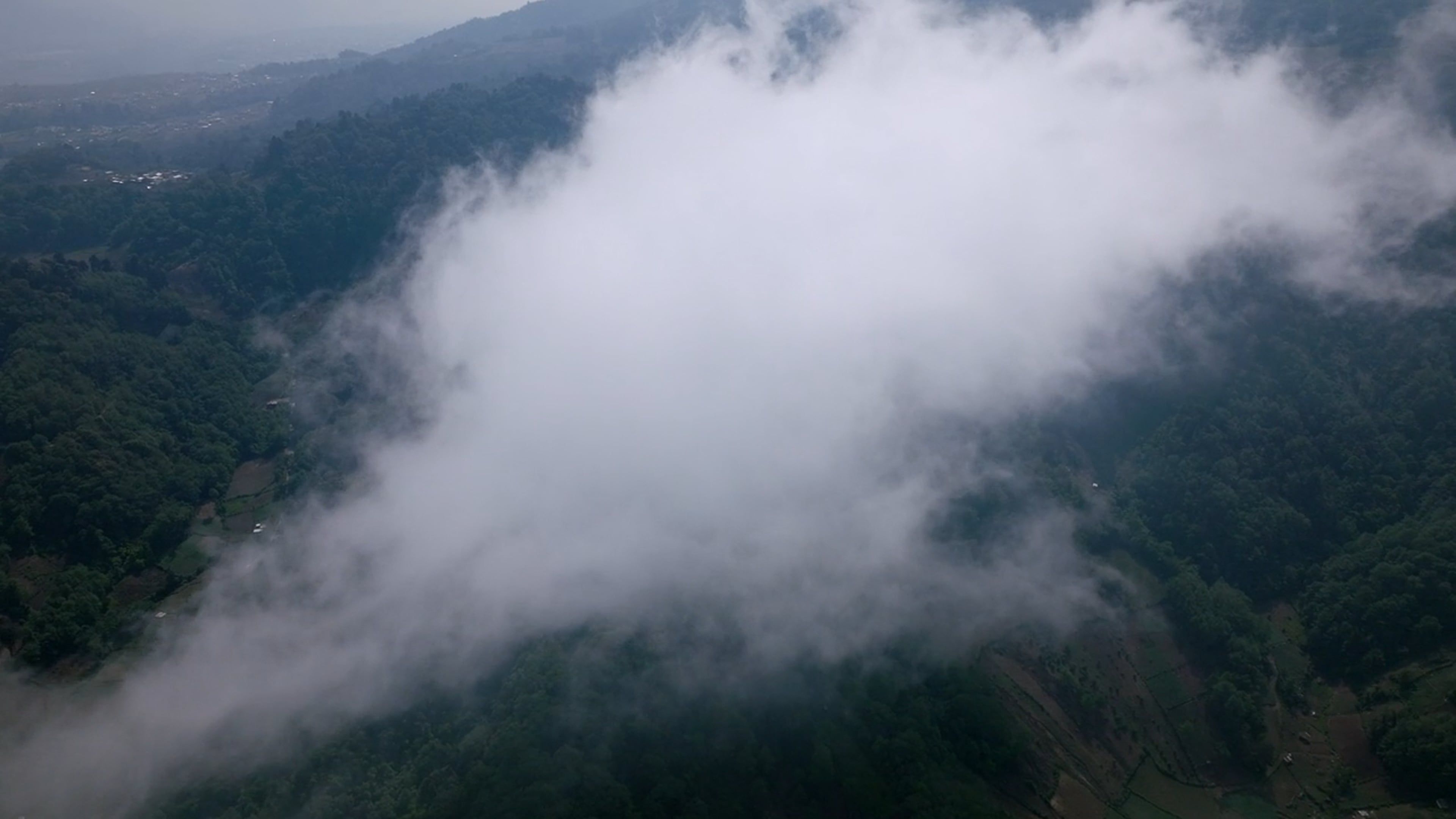 A Drone Footage of Green Trees Under the White Clouds Free Stock Video ...