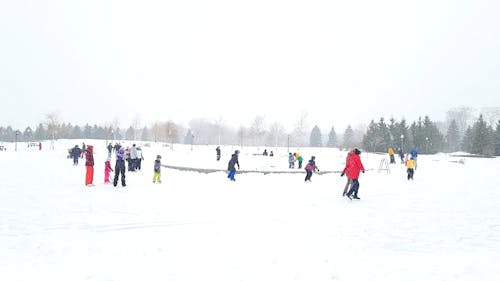 People at the Skating Park