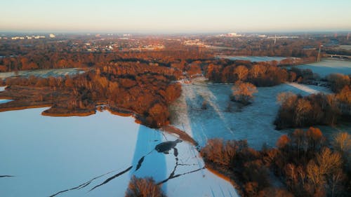 An Aerial Footage of Brown Trees on a Snow Covered Ground