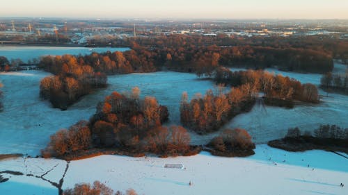 An Aerial Footage of Brown Trees on a Snow Covered Ground