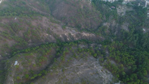 An Aerial Footage of Green Trees on Mountain with Houses