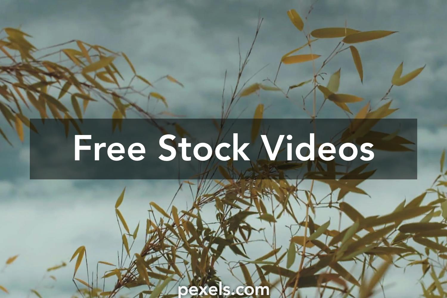 Bliss Videos, Download The BEST Free 4k Stock Video Footage & Bliss HD ...