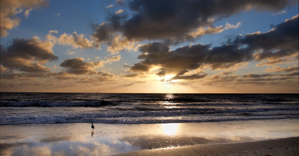 Moving Sunset Time Lapse of Moving Clouds over the Beach at Sunset Free Stock Video ...