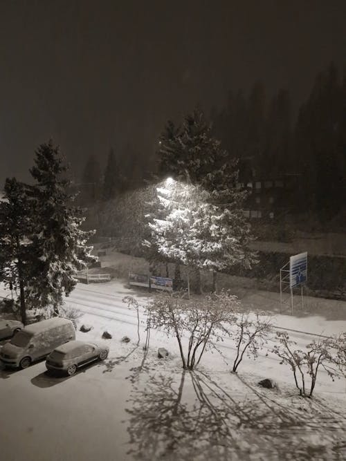 Cars Parked on the Street at Night while Snowing