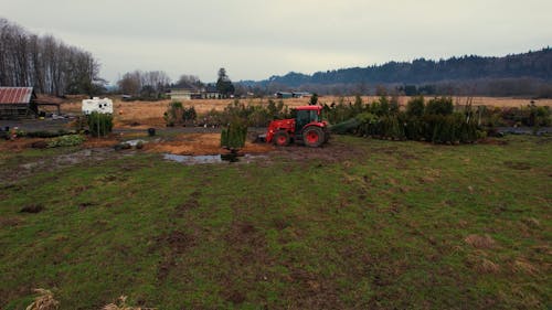 A Red Tractor Parked near the Green Trees