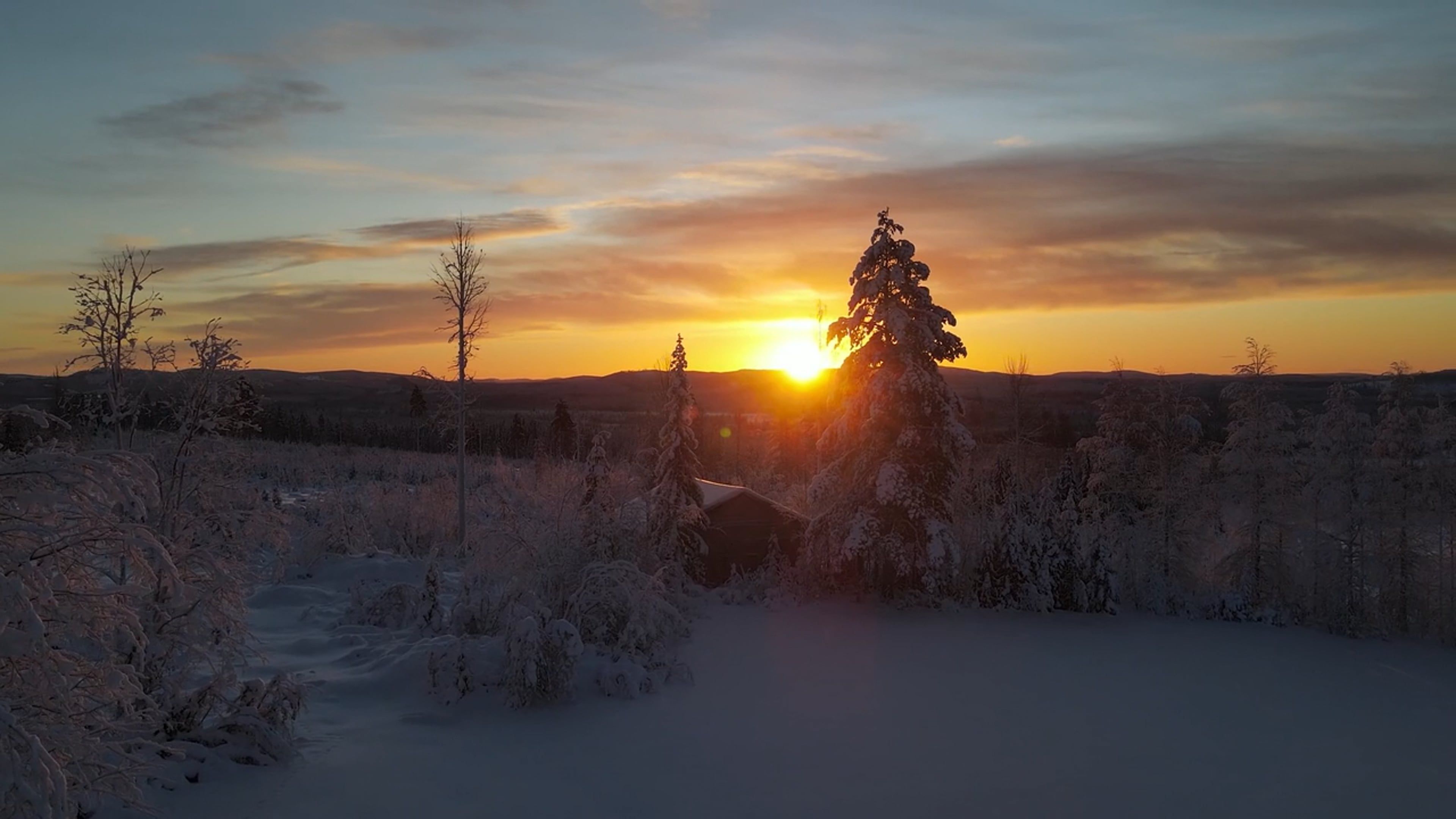 Drone Footage of a Snow Covered Forest at Sunrise Free Stock Video ...
