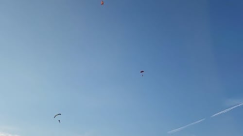 Paragliders Landing on Green Grass Field while Using a Parachute