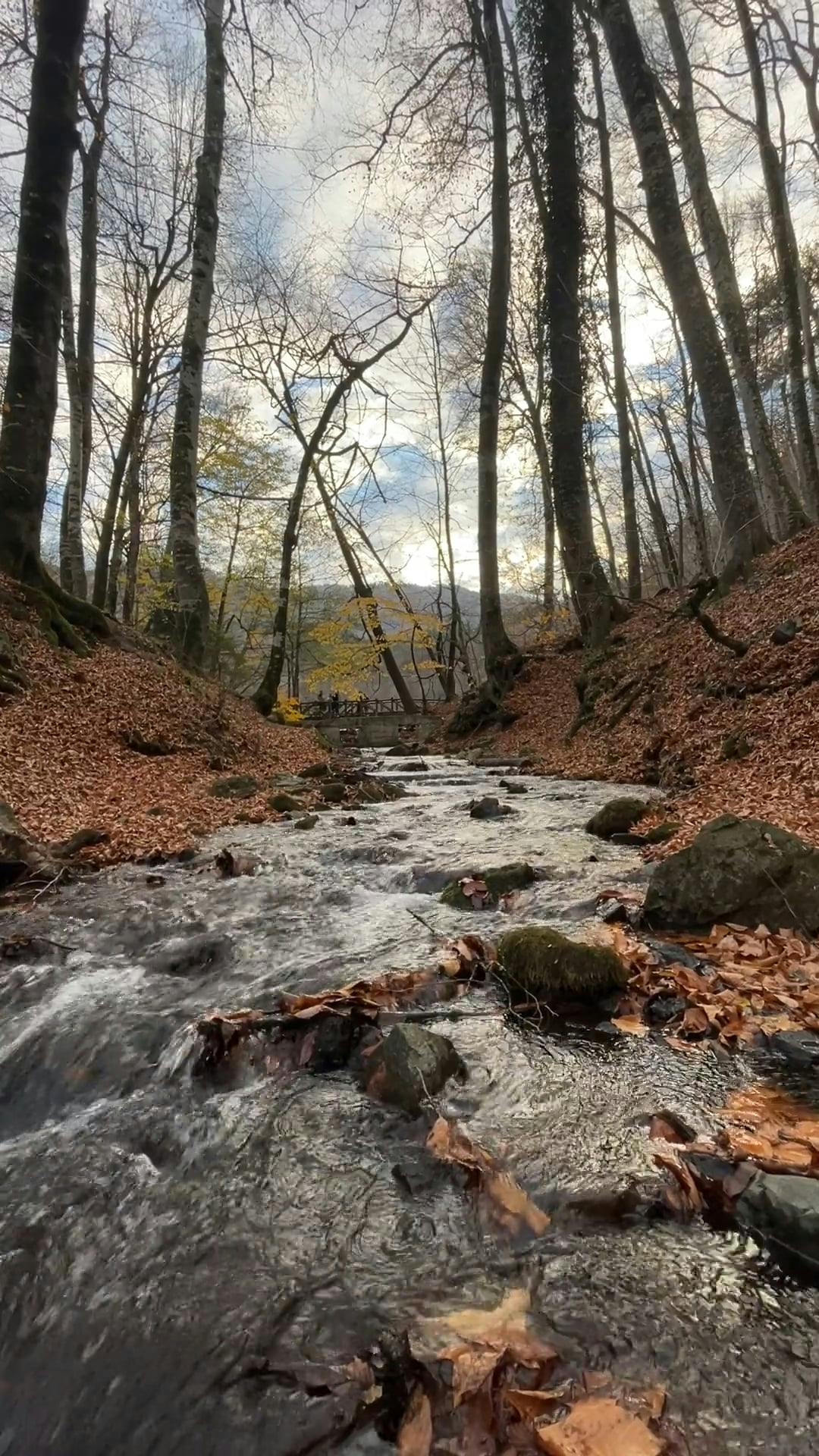 Video by Arsel Ozgurdal