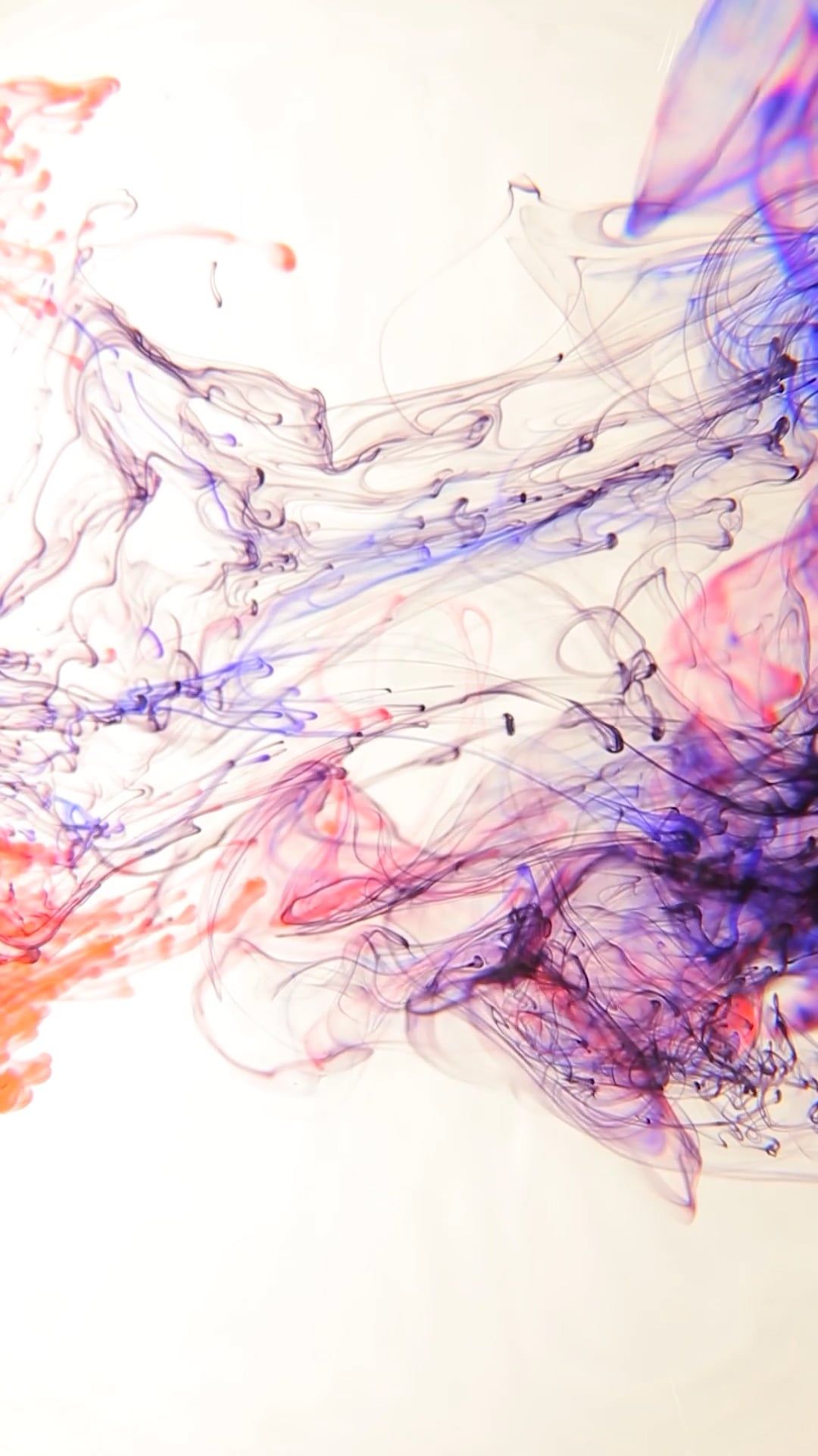 watch till the end
🎥 Dan Cristian Pădureț · Pexels
#satisfying #oddlysatisfying #asmr #relaxing #fyp