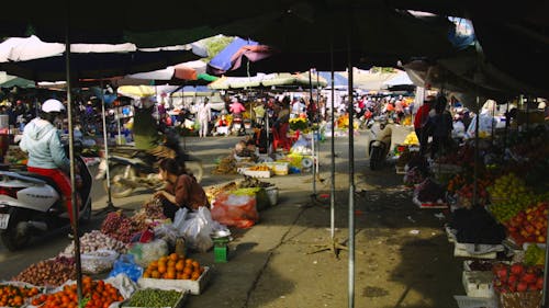 Vendors Selling Fruit on the Street
