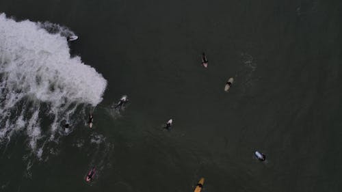 Drone Footage of Surfers at Sea