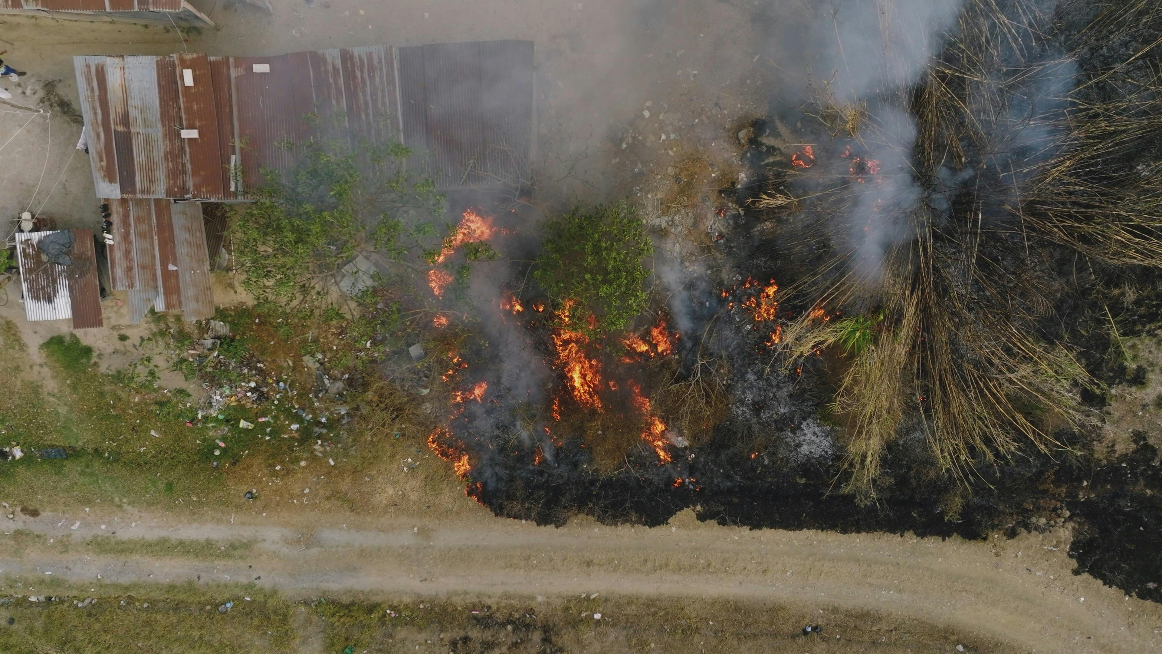 Trees Burning During the Daytime Free Stock Video Footage, RoyaltyFree