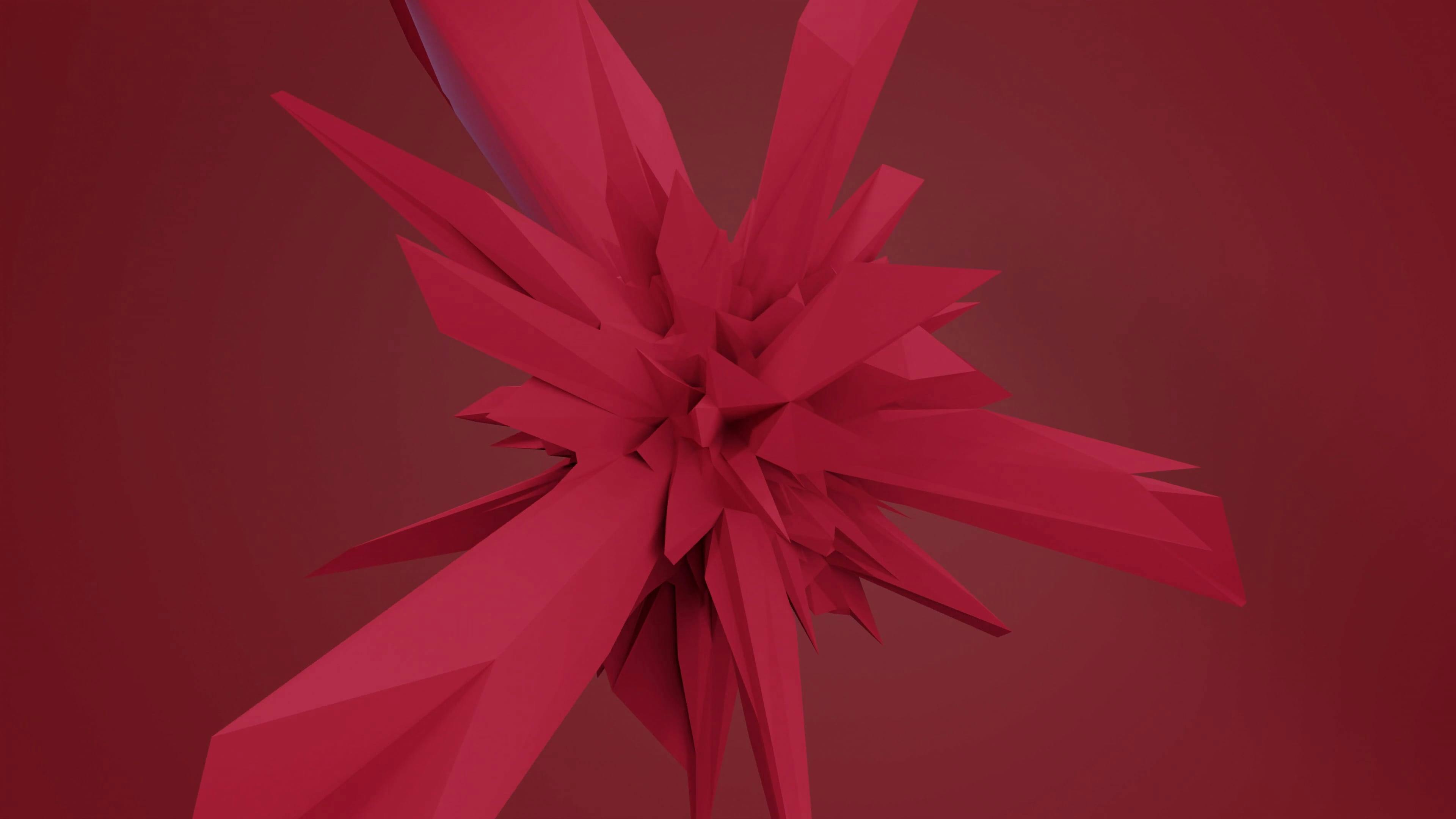 Video by Pachon in Motion