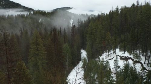A snowy mountain with trees and snow covered ground Free Stock Video ...