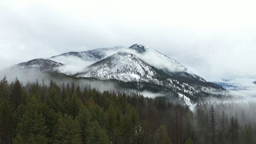 Snow Covered Mountains with Green Trees 