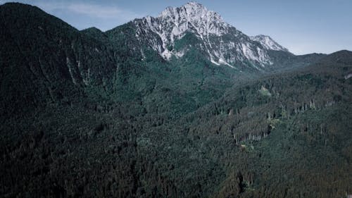 An Aerial Footage of Green Trees on Mountain