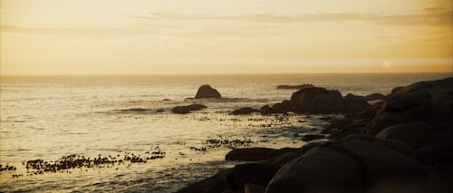 View of rocks at golden hour with anamorphic flare in Cape Town