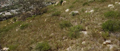 Reveal shot of Table Mountain in Cape Town South Africa