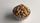 peanut