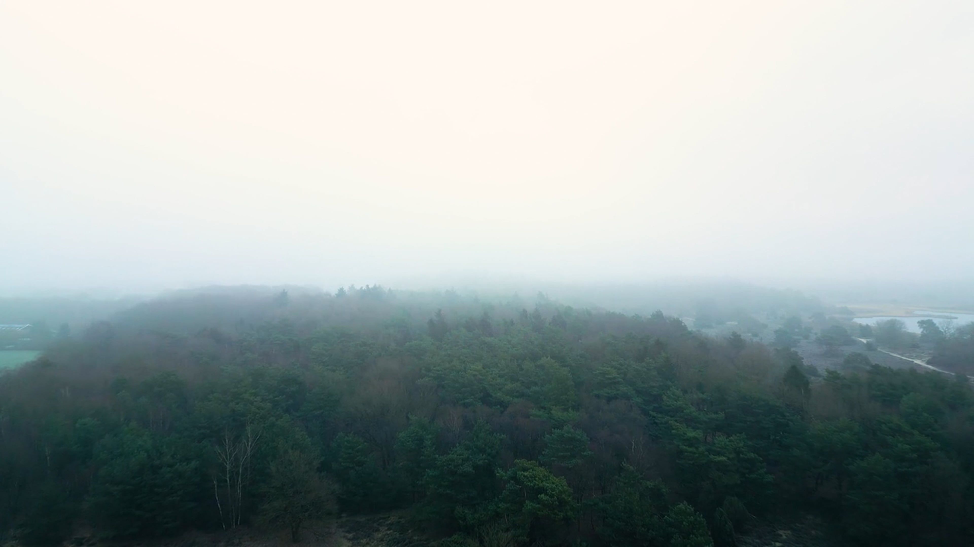 A Drone Footage of Green Trees Under the White Clouds Free Stock Video ...
