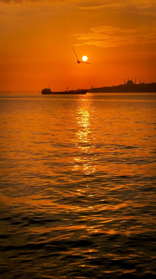 Watercraft on Bosphorus Strait during Golden Hour