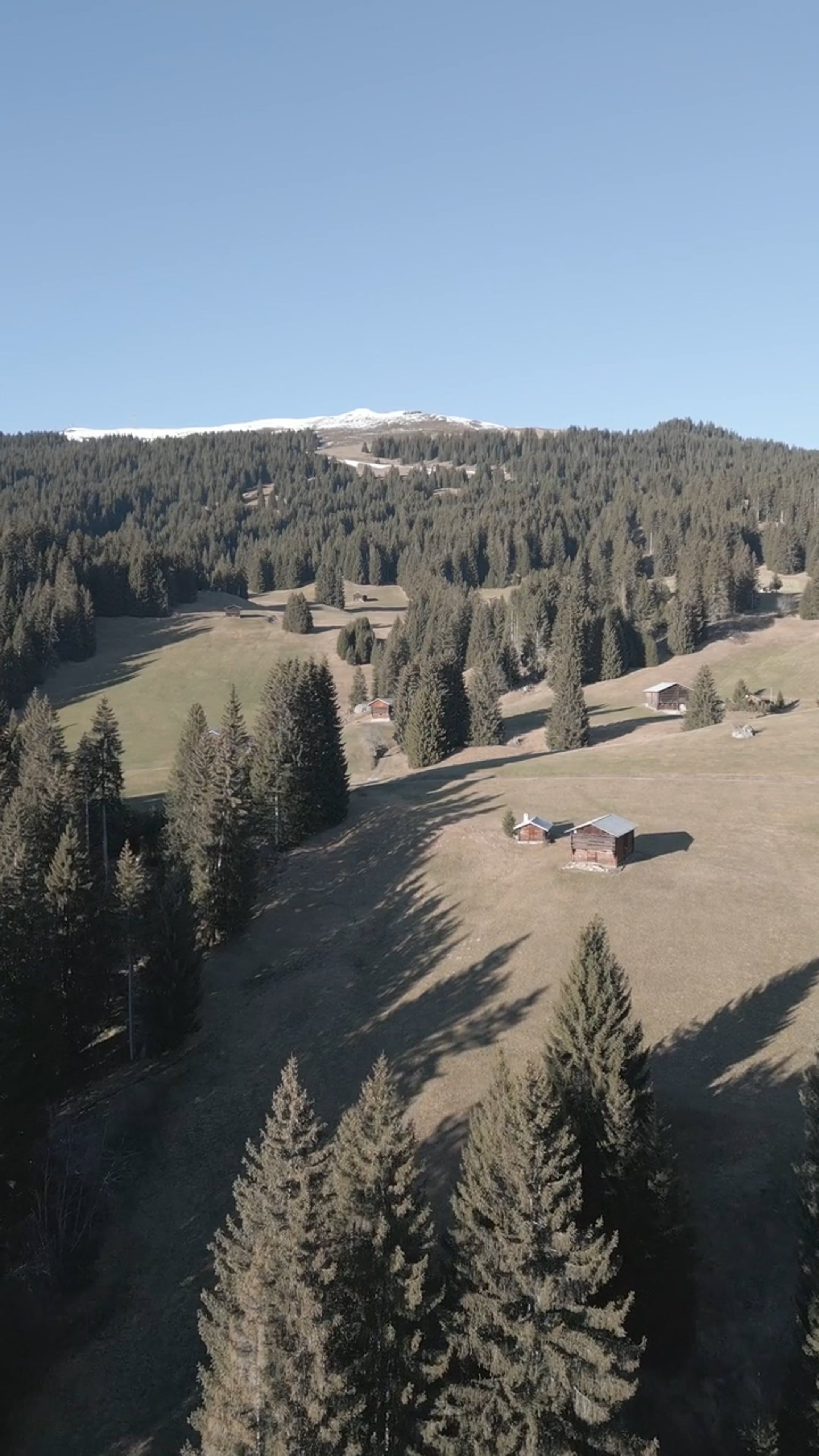Drone Footage of Houses near a Forest Free Stock Video Footage, Royalty ...