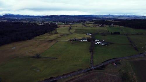 A Drone Footage of Houses on Green Grass Field Near the Trees at the Forest