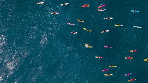 An Aerial Footage of Surfers on the Sea