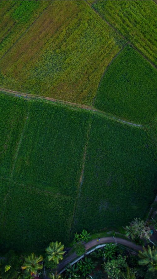 Drone Footage of Houses near Green Fields