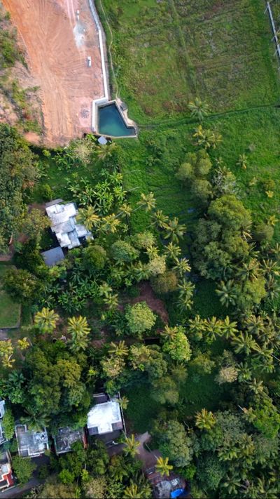 Drone Footage of Green Trees Free Stock Video Footage, Royalty-Free 4K ...