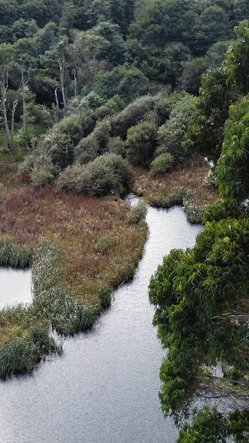 A Drone Footage of a River to Sea