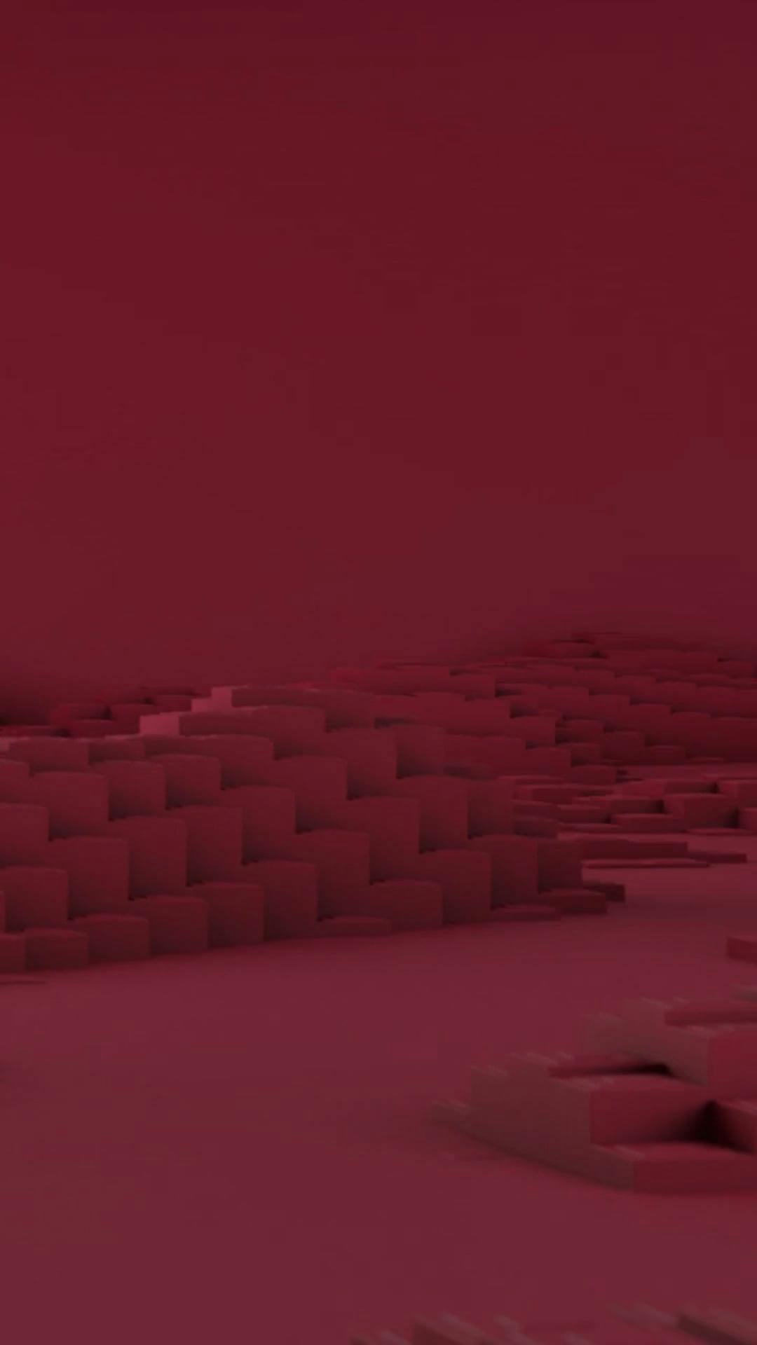 Video by Pachon in Motion