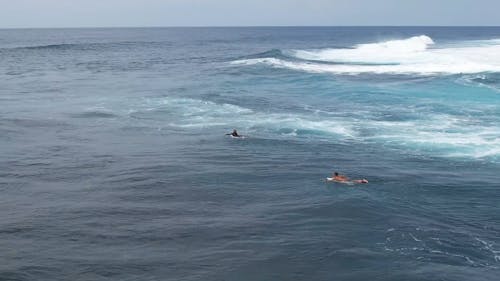 An Aerial Footage of People Swimming on the Sea with Big Waves