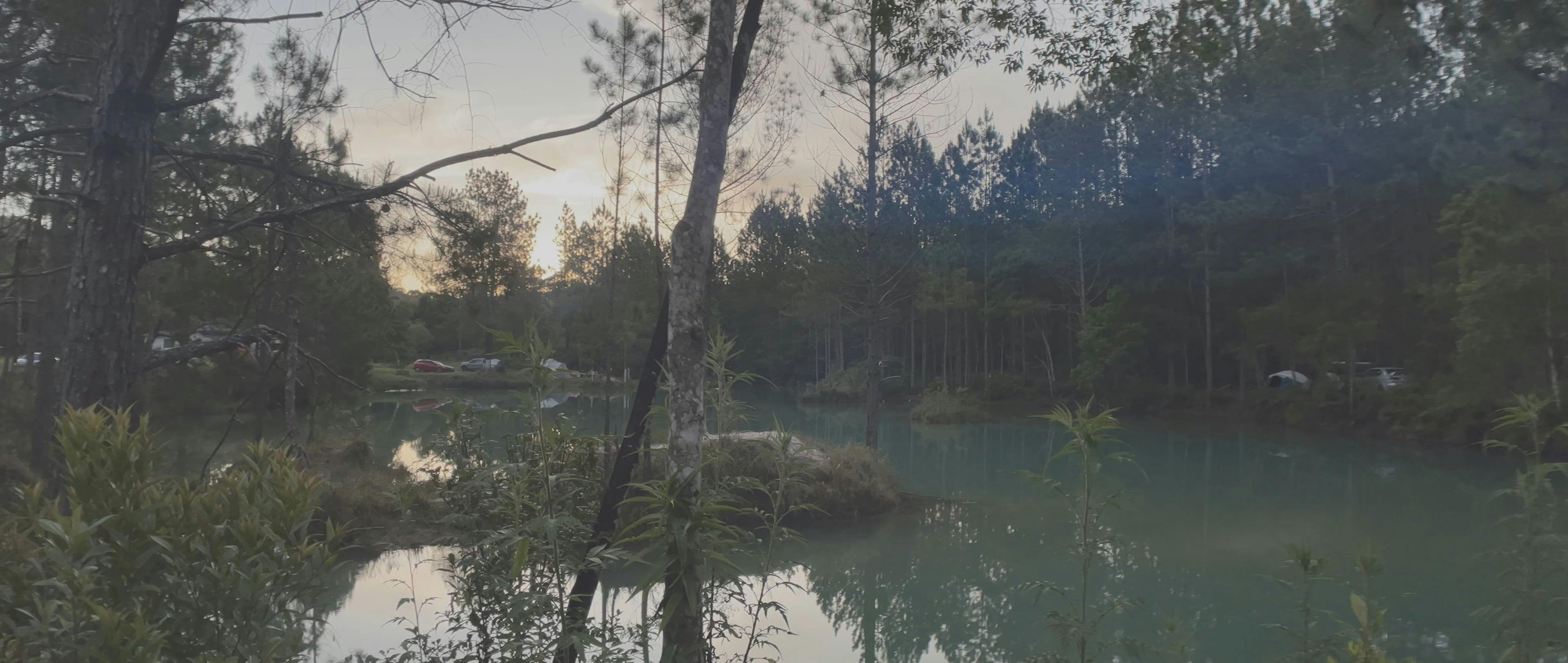 Video by Matheus Bertelli