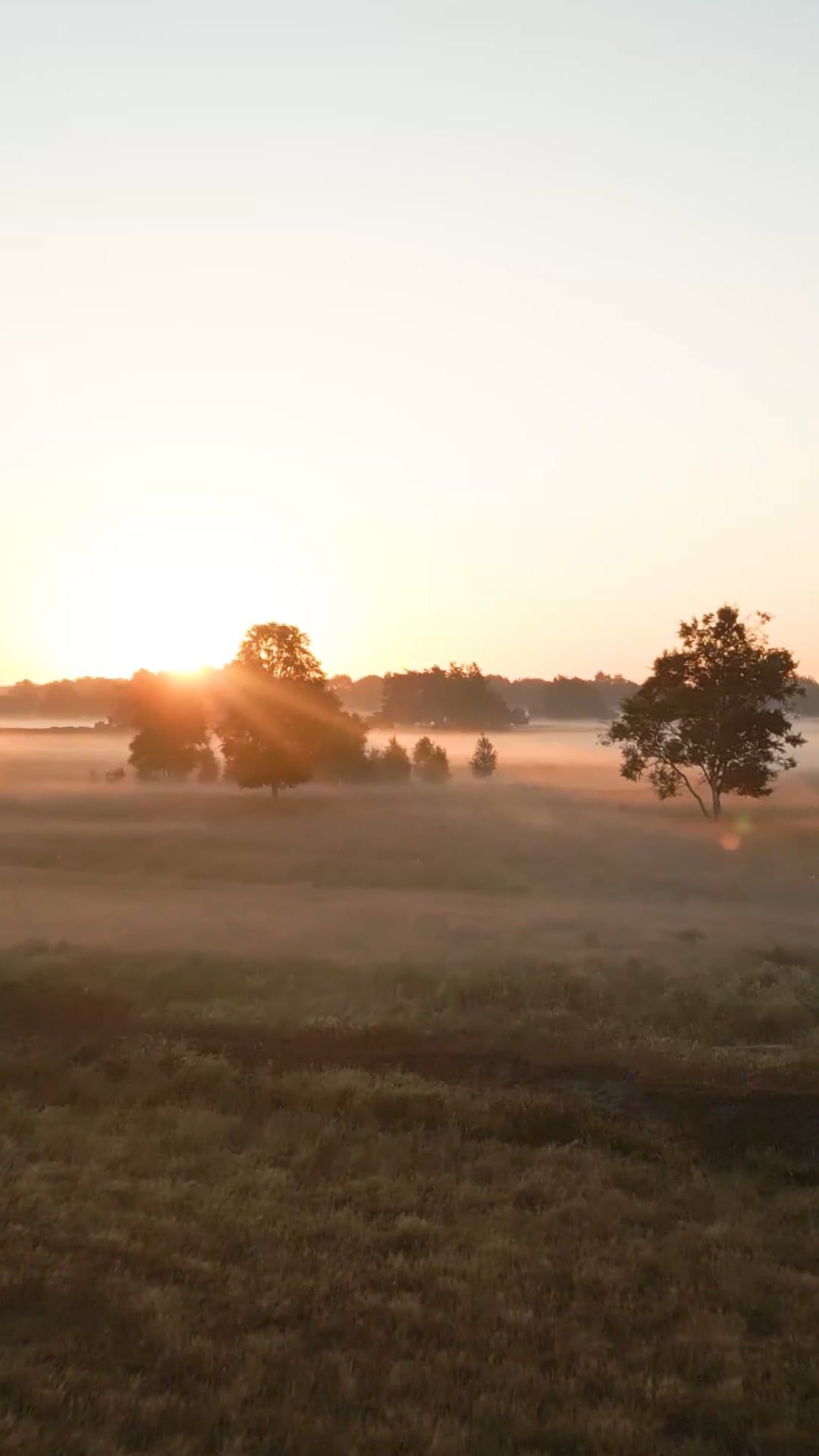 A sunrise over a field with fog Free Stock Video Footage, Royalty-Free ...