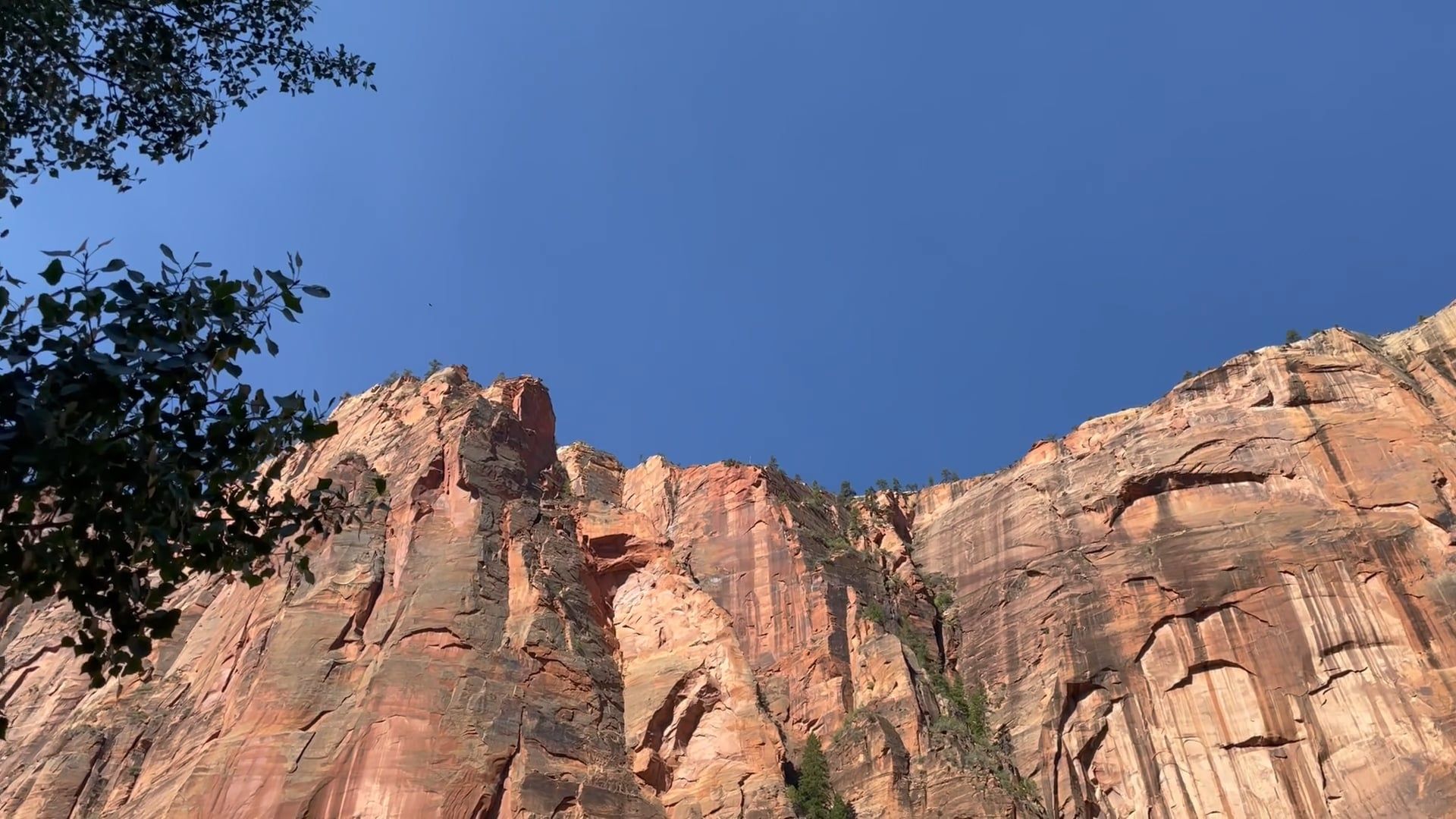 Video by Roger Holzberg