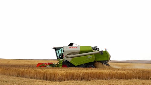 A Combine Harvester Working in a Wheat Field