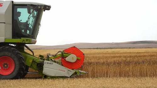 A Farmer Using a Combine Harvester in a Wheat Field