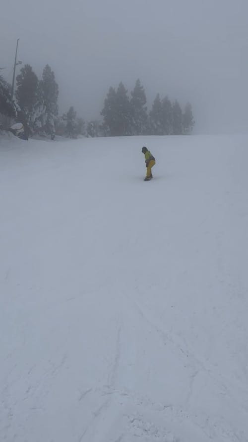 A Man Snowboarding in a Winter Landscape 