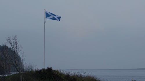 A Scottish Flag 
