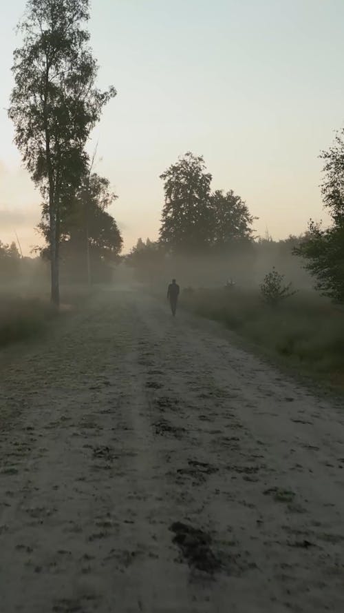 A Man Walking along a Dirt Road on a Foggy Morning 