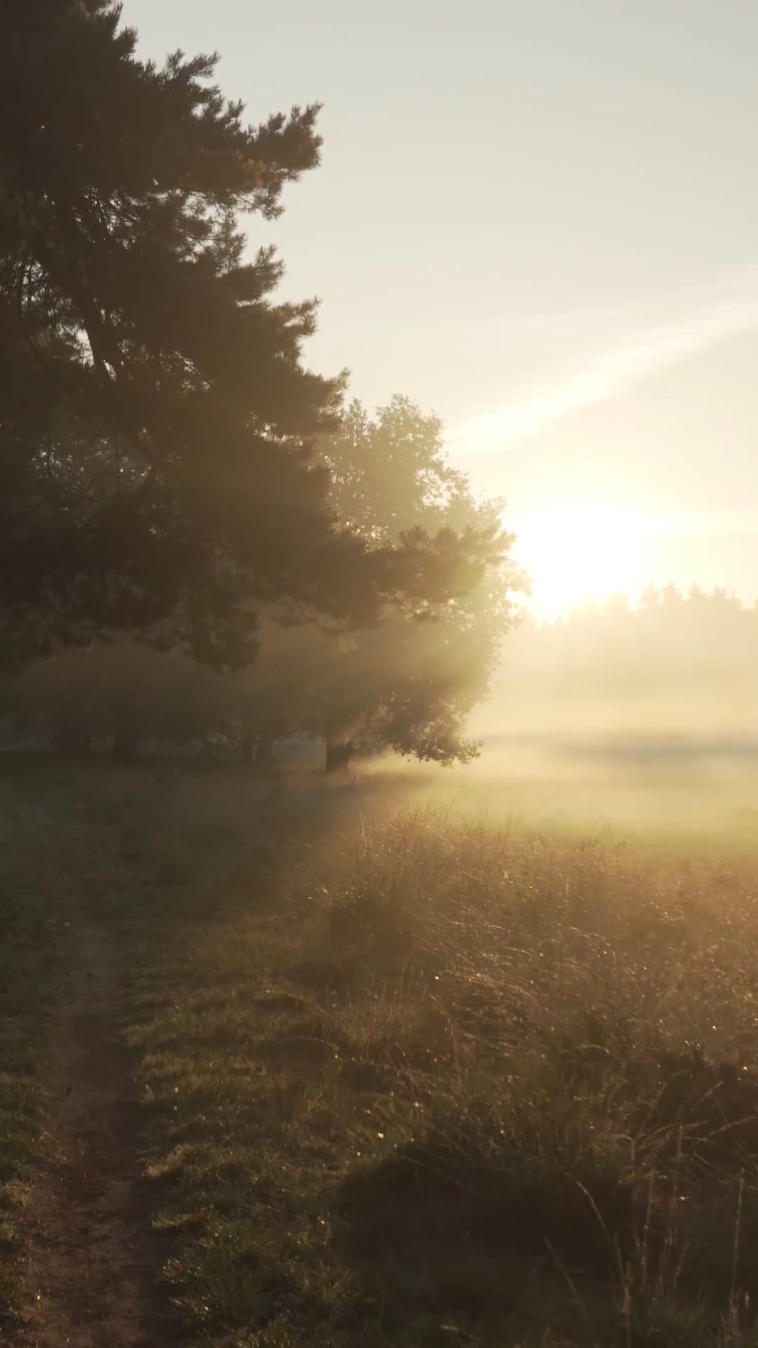 future you says thanks
🎥 Matthias Groeneveld · Pexels
#fitness #gym #workout #motivation #fitfam