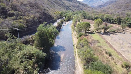 Shallow River between Trees