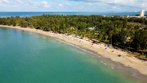 Aerial View of a Tropical Sandy Beach