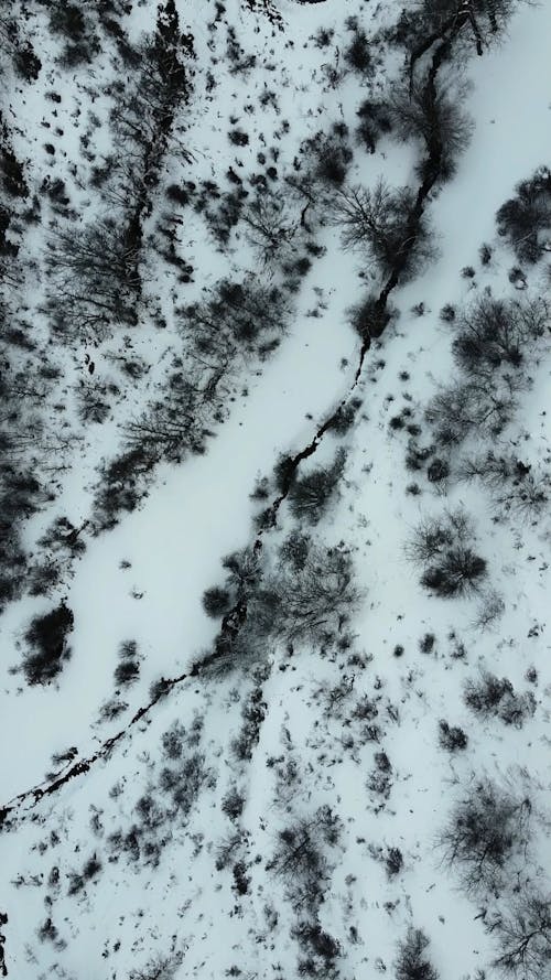 Aerial View of a Road in a Snow Covered Landscape 