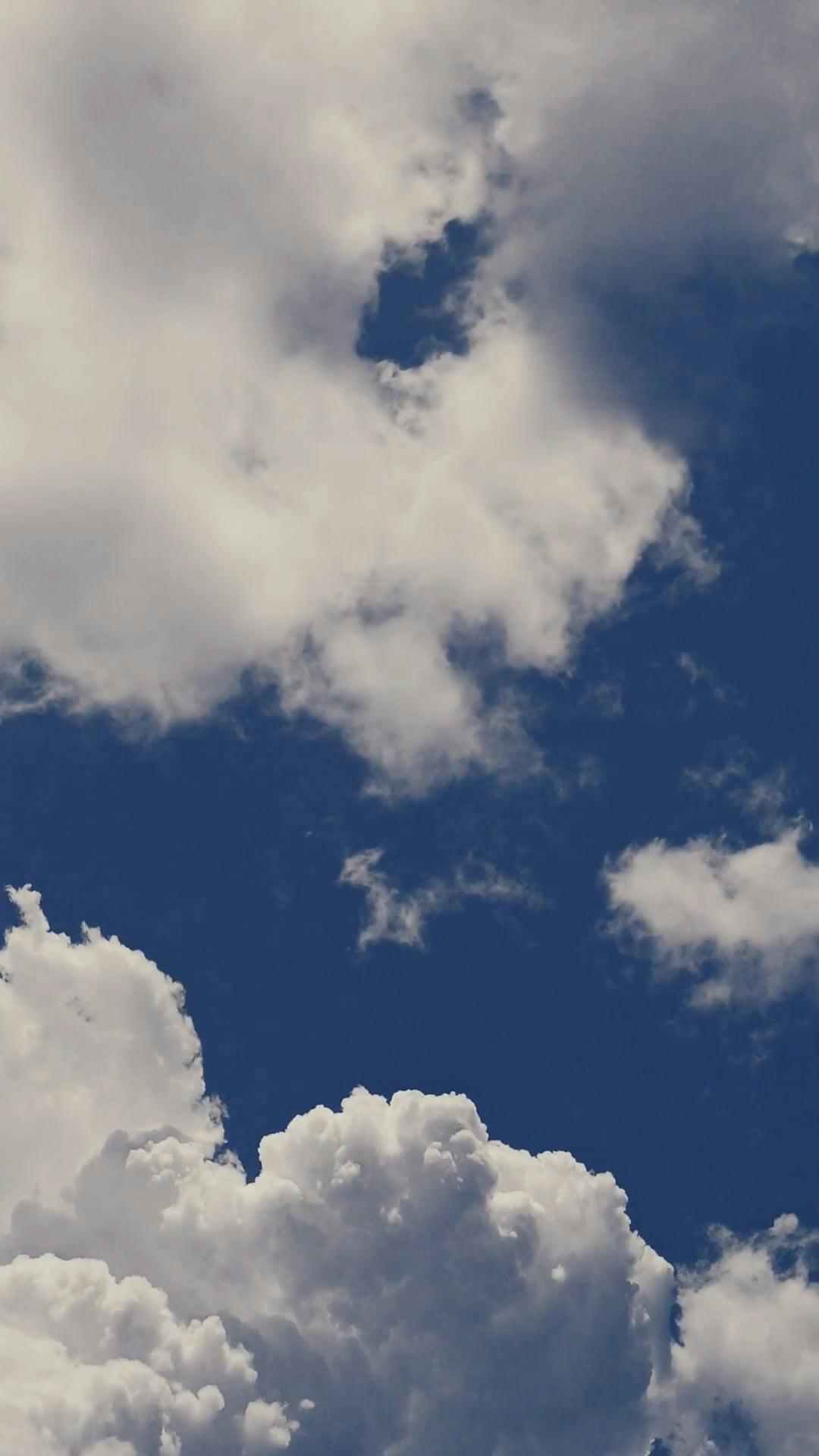 Video by Karthik  Shajan