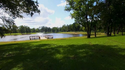 Вид на озеро и парк с дрона
